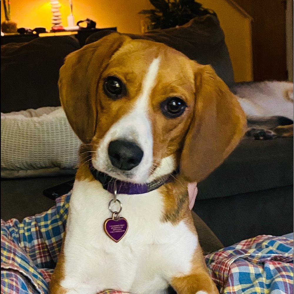 Meet your Posher, Scheree